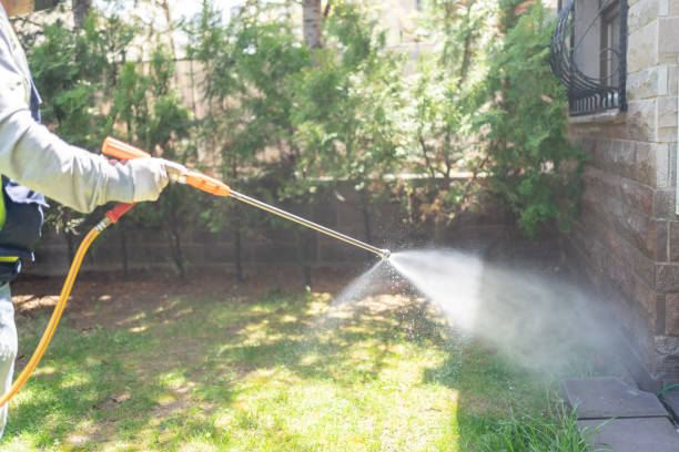 Pest Prevention Services in Portland, TX
