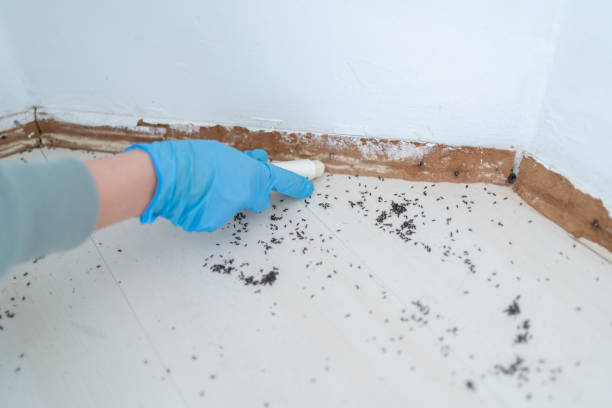 Best Commercial Pest Control Services  in Portland, TX