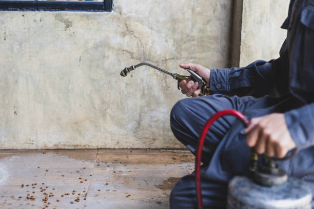Best Termite Control Services  in Portland, TX